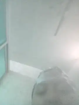 Samantha blsd online show from 11/26/25, 03:46