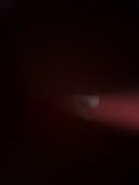 PartiedOmelet online show from 11/24/25, 07:24