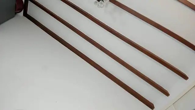 IsaSantoDomingo online show from 01/16/26, 10:58