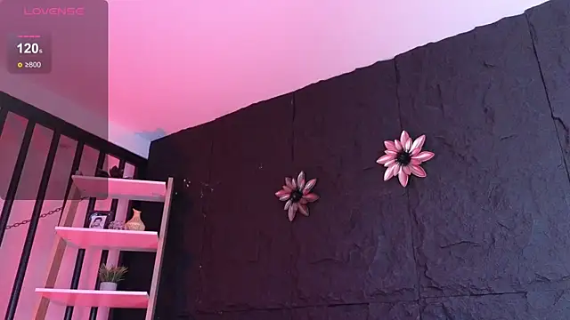 Paulo 527 online show from 01/12/26, 08:47