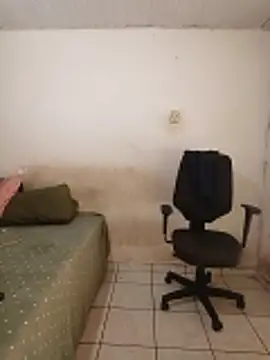 theyllorwillian online show from 02/20/26, 01:11