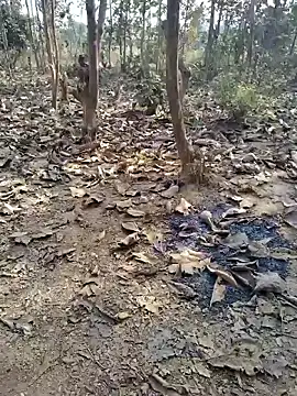 88zaifkhan88 online show from 01/08/26, 04:37