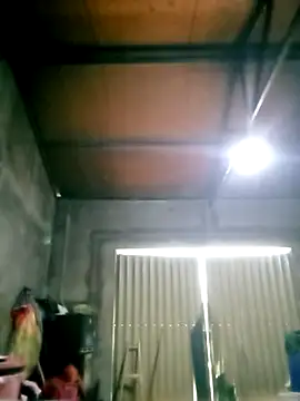 mumu661 online show from 12/04/25, 07:39