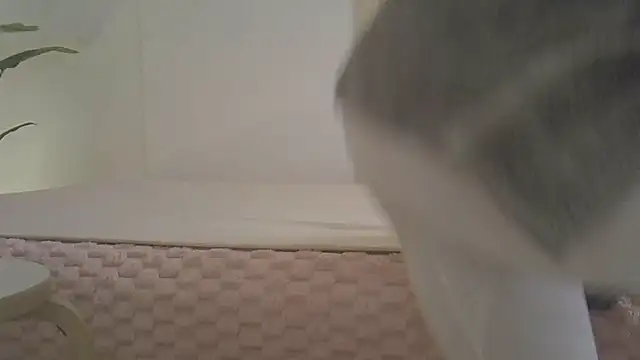 kyono-iyashi online show from 03/08/26, 02:43