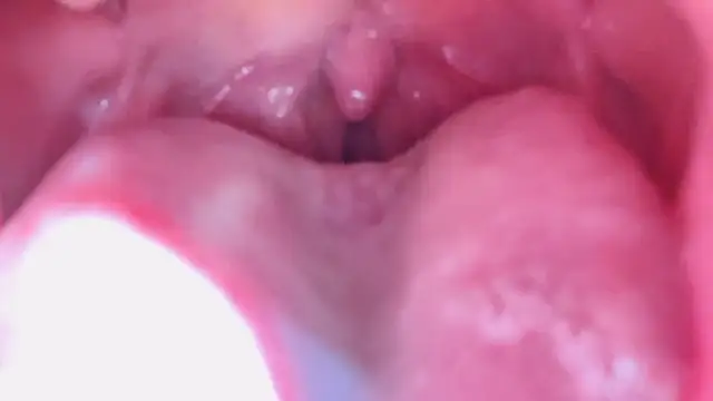 LT-333 online show from 01/17/26, 07:17