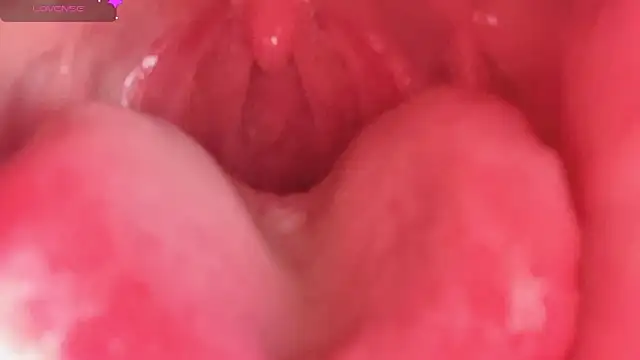 LT-333 online show from 02/10/26, 04:33