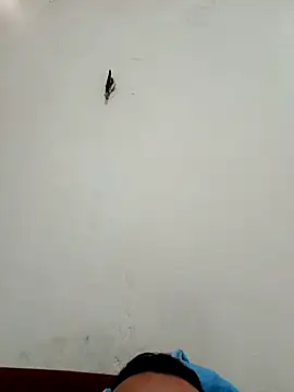 big16cmx online show from 11/26/25, 05:58