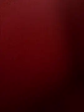 Snapshot of chriss13fc chatting on 04/29/26, 09:02 chriss13fc online show from 04/29/26, 09:02