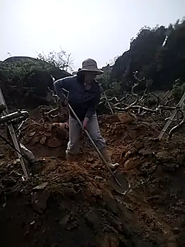 Alibabapi online show from 03/26/26, 02:28