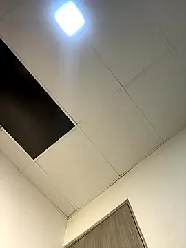 Snapshot of laia_williamss chatting on 12/16/25, 11:10 laia williamss online show from 12/16/25, 11:10