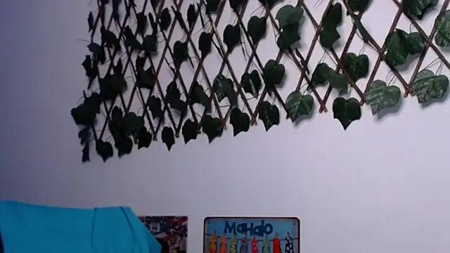 oak david online show from 06/04/26, 01:44