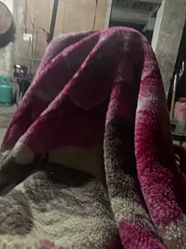 anh-soi123 online show from 03/11/26, 05:41