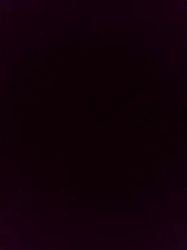 gatitachula93 online show from 04/13/26, 12:21