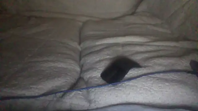 moneymaker50 online show from 12/02/25, 04:51