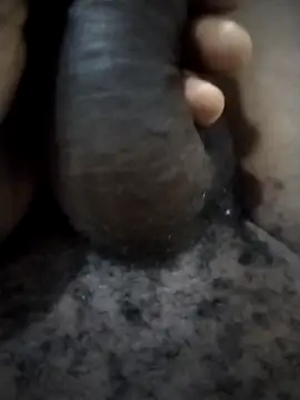 Piazza21 online show from 02/11/26, 04:50