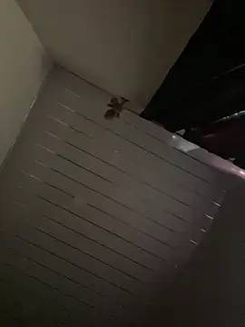 Carameloswing1 online show from 03/19/26, 10:14