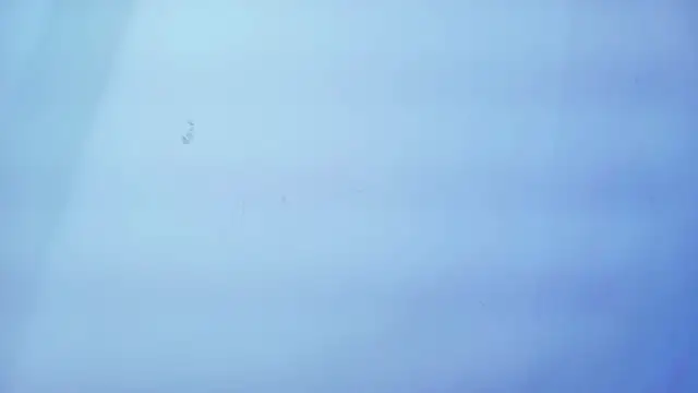 Nicole sounders online show from 01/19/26, 11:25