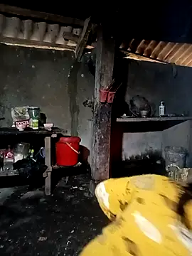 ava-dellght online show from 02/01/26, 06:34