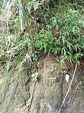 sary-hot2x online show from 06/16/26, 01:08