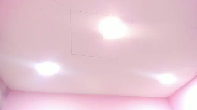 Snapshot of Tokio_Bliss chatting on 12/16/25, 12:54 Tokio Bliss online show from 12/16/25, 12:54