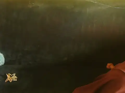 Bristi 03 online show from 06/15/26, 01:02