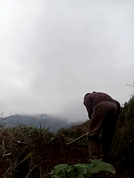 Snapshot of mon-monk chatting on 12/17/25, 01:11 mon-monk online show from 12/17/25, 01:11