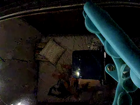 badgirlandjunior69 online show from 04/29/26, 10:30