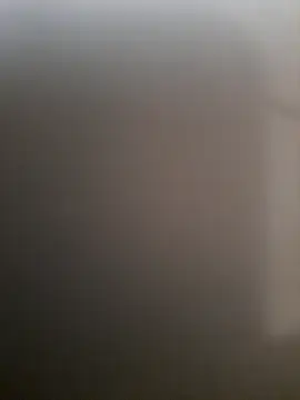 piedic online show from 03/03/26, 10:21