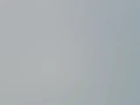 Fish 136 online show from 04/01/26, 01:28