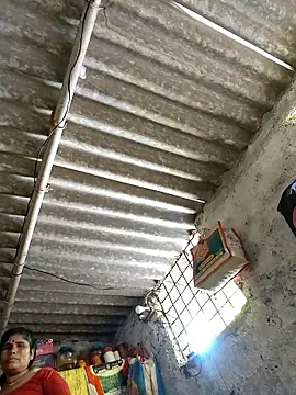 Mahi bigg online show from 03/01/26, 09:44