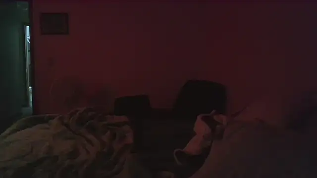 Snapshot of dixielover1229 chatting on 12/16/25, 04:06 dixielover1229 online show from 12/16/25, 04:06