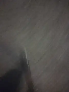 marcoboss online show from 04/16/26, 09:50