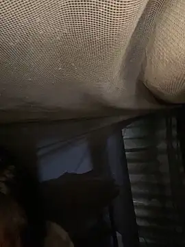 Nika-be online show from 02/11/26, 03:44