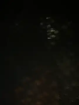 Nika-be online show from 03/29/26, 06:02