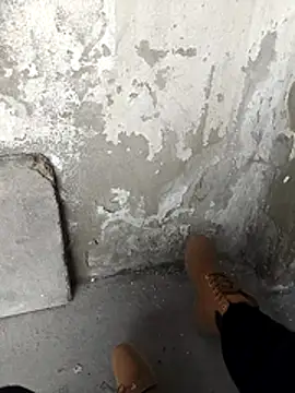 Mar81 online show from 02/12/26, 01:06