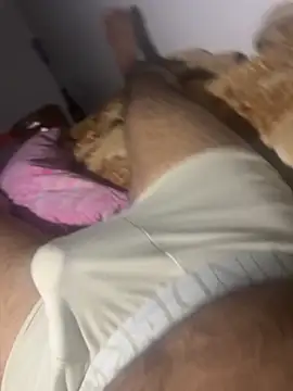 Night outcam online show from 01/06/26, 07:39