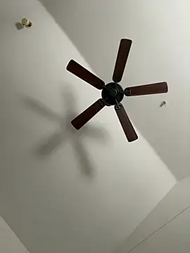 faces818 online show from 03/21/26, 05:16