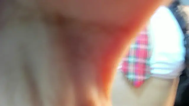 Snapshot of valeria_dark_ chatting on 01/17/26, 08:12 valeria dark online show from 01/17/26, 08:12