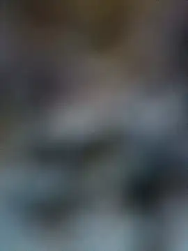 Shreya pandit online show from 05/29/26, 11:52