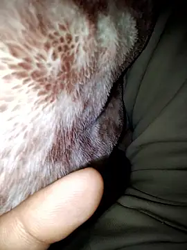 aman4404 online show from 01/13/26, 06:08