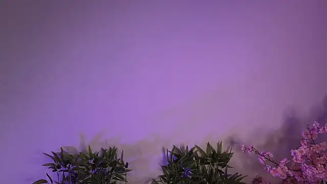 Mila Whelson online show from 01/17/26, 10:46