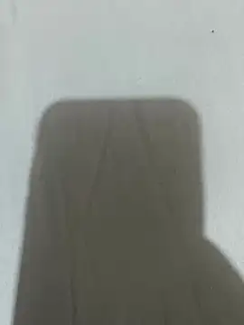 pampam nifetinha online show from 04/16/26, 04:46