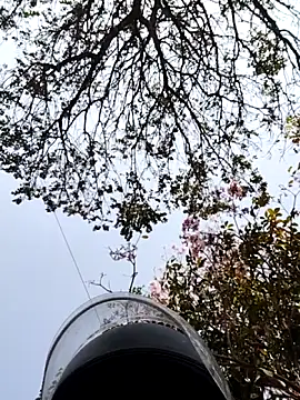 bnglrboy0886 online show from 03/07/26, 10:01