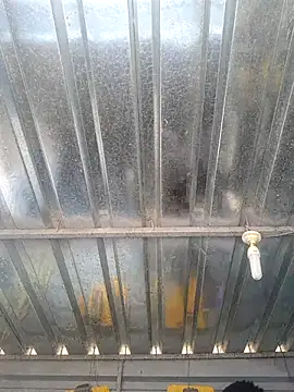 Snapshot of biggy_mash chatting on 12/17/25, 10:32 biggy mash online show from 12/17/25, 10:32