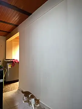 Noxveeltt online show from 04/01/26, 06:16