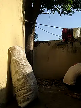 novio-de-la-tarde online show from 04/05/26, 02:31