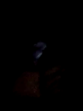 Snapshot of yourwellman chatting on 03/05/26, 05:20 yourwellman online show from 03/05/26, 05:20