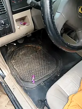 PIGHIGHDIRTY p0 online show from 02/20/26, 09:04