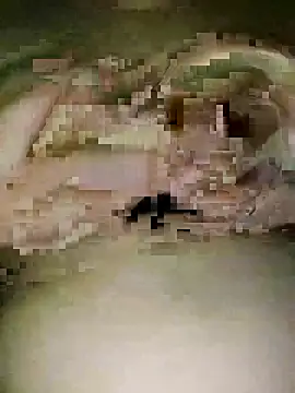 Lobna-66 online show from 04/07/26, 12:11