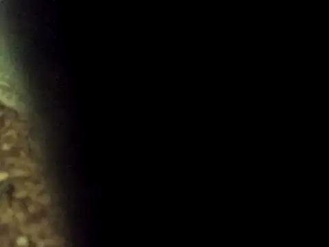 Maknithappen online show from 03/17/26, 09:34